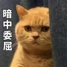 ole Li Shaoxia sangat sedih dan marah: Aku...Aku tidak hidup lagi! ! !